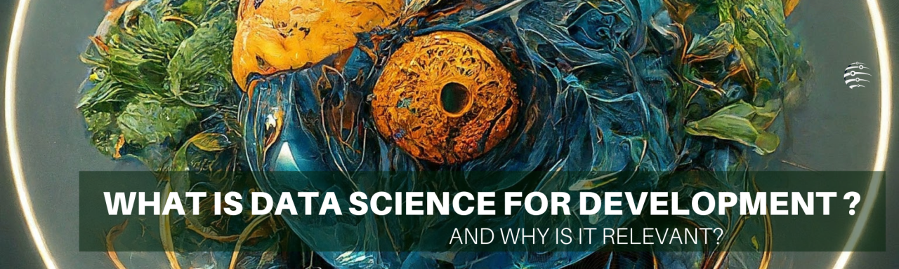What is Data Science for Development and Why is it Relevant?